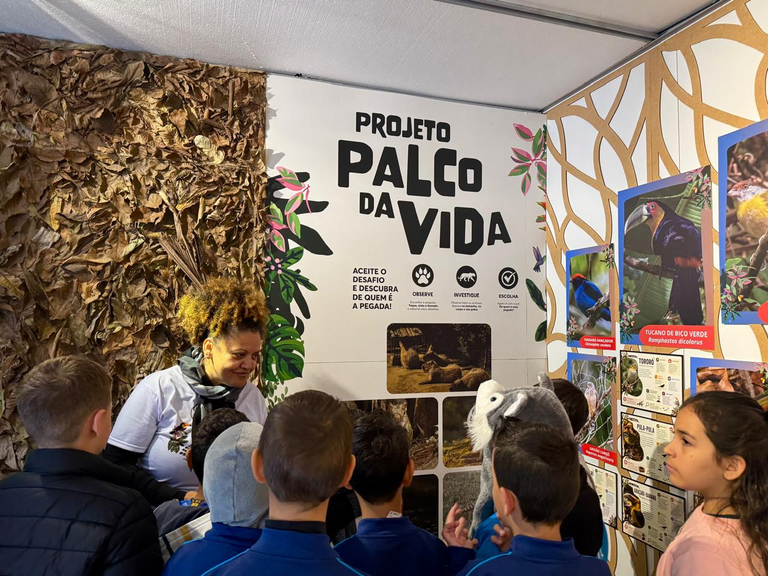 Projeto Palco da Vida traz experiência imersiva sobre a Mata Atlântica para Guaramirim