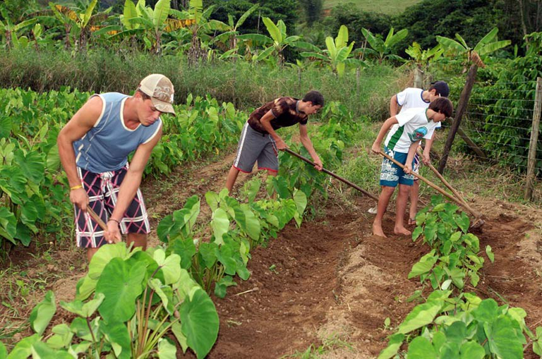 Projeto facilita captação de recursos privados para produtores rurais
